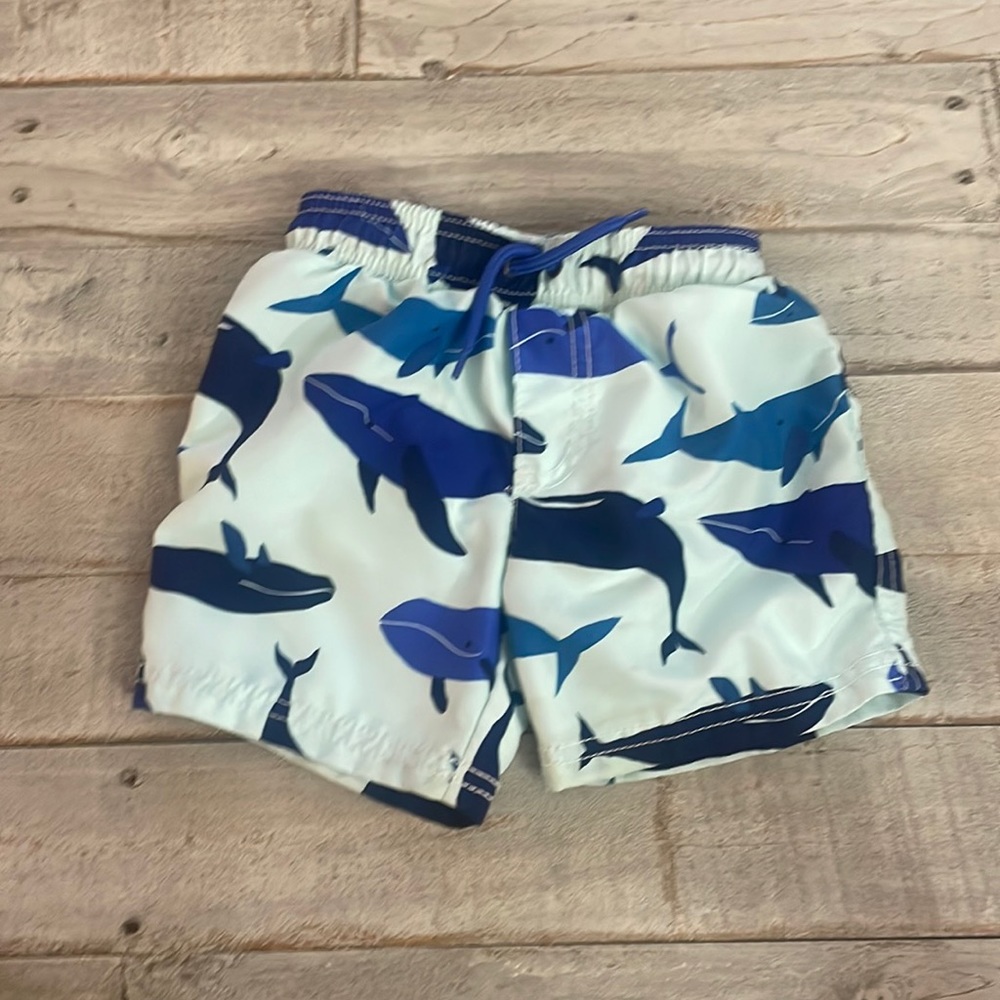 Swim trunks- Carters size 2T